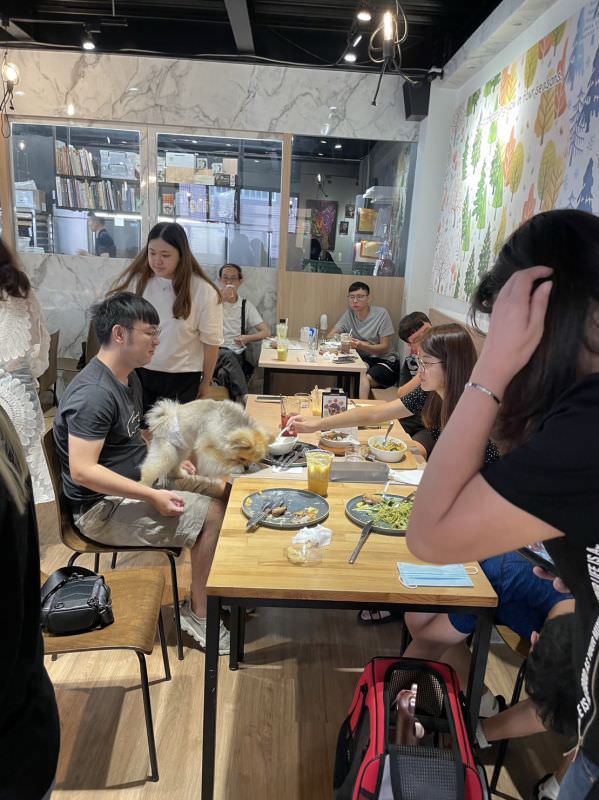 對寵物超友善
